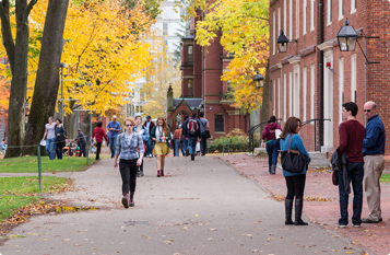 秋思手机号轰炸平台